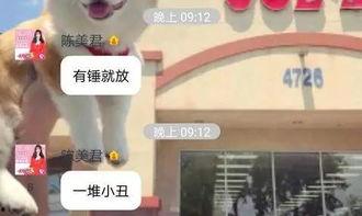 薄荷爆料小q视频,小Q视频揭秘,带你走进神秘世界 第3张 薄荷爆料小q视频,小Q视频揭秘,带你走进神秘世界 第3张