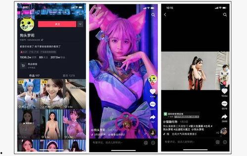 揭秘爆料动画视频在线观看,动画视频背后的秘密，在线观看大揭秘！