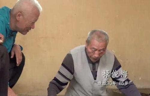 蜂蜇电影在线观看,揭秘神秘蜂群复仇的惊悚之旅