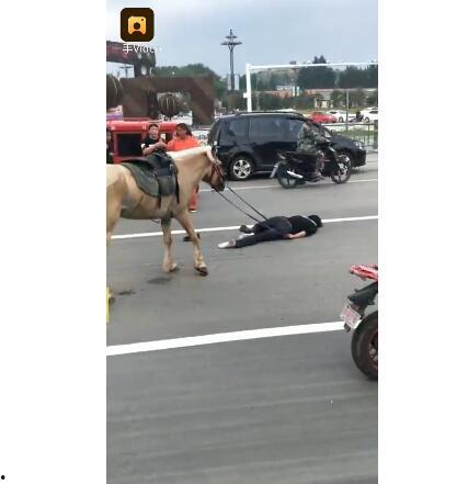 网红骑马爆料视频播放,揭秘马术魅力与骑手风采 第2张 网红骑马爆料视频播放,揭秘马术魅力与骑手风采 第2张