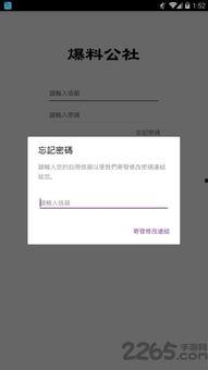 爆料真实的视频软件下载,下载与使用全攻略