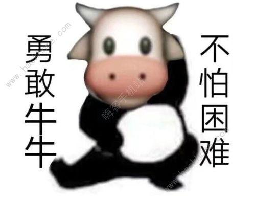 牛牛在视频在线观看,在线观看的精彩瞬间回顾