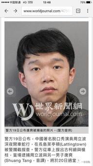 娱乐吃瓜助理当枪使,吃瓜助理如何成为舆论推手 第3张 娱乐吃瓜助理当枪使,吃瓜助理如何成为舆论推手 第3张