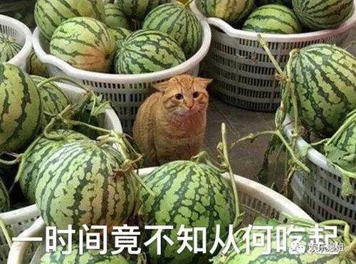 吃瓜爆料群最新,吃瓜爆料群最新劲爆事件大盘点 第3张 吃瓜爆料群最新,吃瓜爆料群最新劲爆事件大盘点 第3张