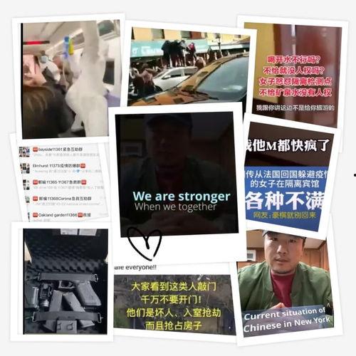法国病毒爆料视频,真相与争议并存