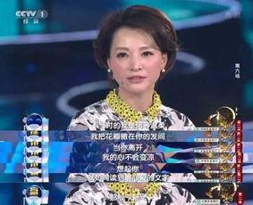 娱乐爆料董卿视频播放时间,揭秘幕后精彩瞬间，播放时长引发热议