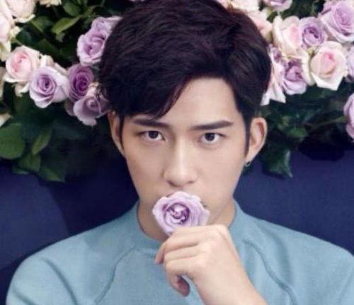 上半年在娱乐圈爆料的男明星,盘点那些被热议的男明星 第2张 上半年在娱乐圈爆料的男明星,盘点那些被热议的男明星 第2张