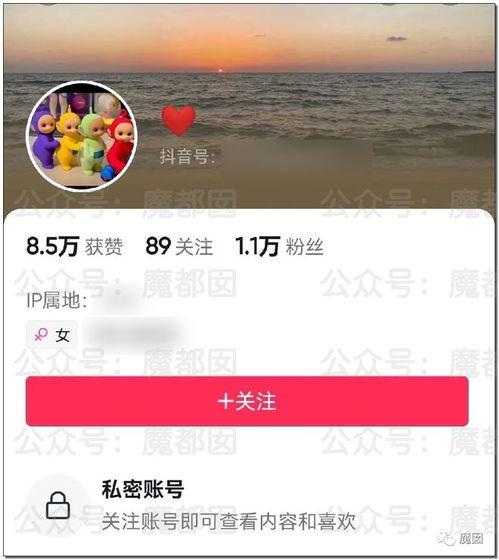 网红美女吃瓜网站大全,揭秘热门平台! 第2张 网红美女吃瓜网站大全,揭秘热门平台! 第2张