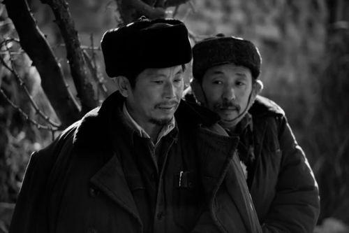 村戏电影在线观看,揭秘乡村光影背后的故事 第3张 村戏电影在线观看,揭秘乡村光影背后的故事 第3张