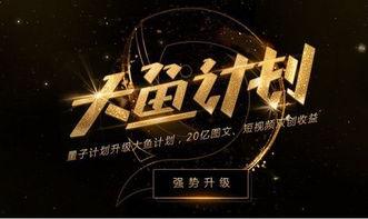 娱乐领域的爆料大鱼号,大鱼号揭秘明星幕后故事