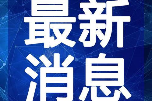 虎门渣男爆料网最新视频,一场道德沦丧的丑闻风暴