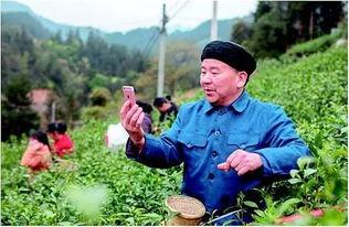 农民网红爆料视频播放,视频播放量背后的秘密解析