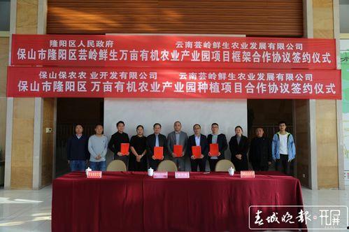 保山隆阳区新闻爆料电话,倾听民声,守护平安 第2张 保山隆阳区新闻爆料电话,倾听民声,守护平安 第2张