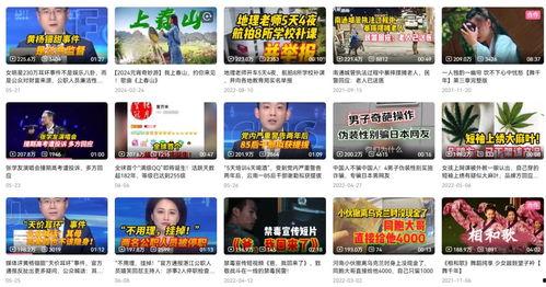大象新闻线索爆料视频,揭秘事件背后惊人真相  第3张