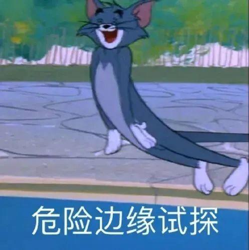 奇哥和呆呆互相爆料视频,爆笑瞬间引网友热议  第3张