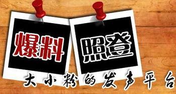 新闻爆料字体,新闻爆料字体背后的秘密 第2张 新闻爆料字体,新闻爆料字体背后的秘密 第2张