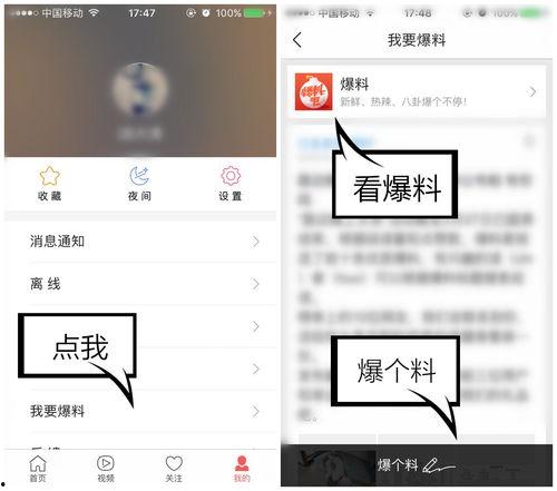 怎么看爆料的视频,深度解析爆料的视频内容