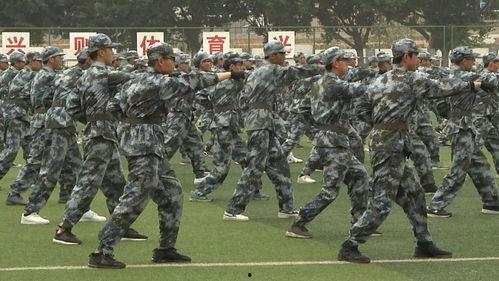 军训最新爆料新闻事件,揭秘最新爆料背后的真相与影响 第3张 军训最新爆料新闻事件,揭秘最新爆料背后的真相与影响 第3张