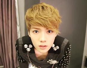 明星鹿晗家世爆料视频大全,揭秘明星背后的家族故事  第3张