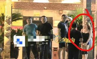 小岳岳被爆料视频大全下载,揭秘娱乐圈背后的真相