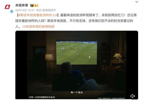 新闻爆料社视频,最新热点事件深度解析