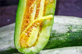 胖网红吃瓜,趣味横生瞬间引爆网络  第2张