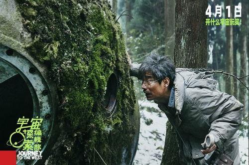 东莞枯树爆料事件视频播放,真相与反思  第3张