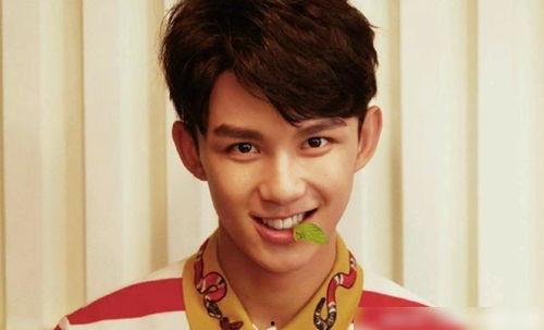 吴磊娱乐大爆料在线观看,揭秘明星幕后故事  第2张