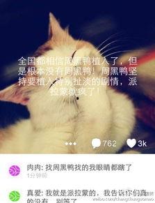 微博最新爆料周黑鸭是谁,微博最新爆料引发热议！”