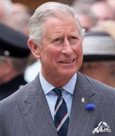 查尔斯爆料视频大全最新,揭秘不为人知的幕后真相  第2张