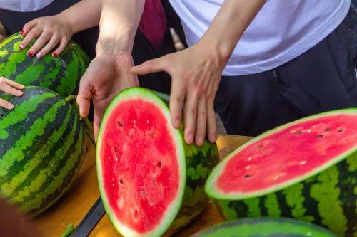 上哪儿能免费吃瓜,上哪儿能畅享夏日清凉  第2张