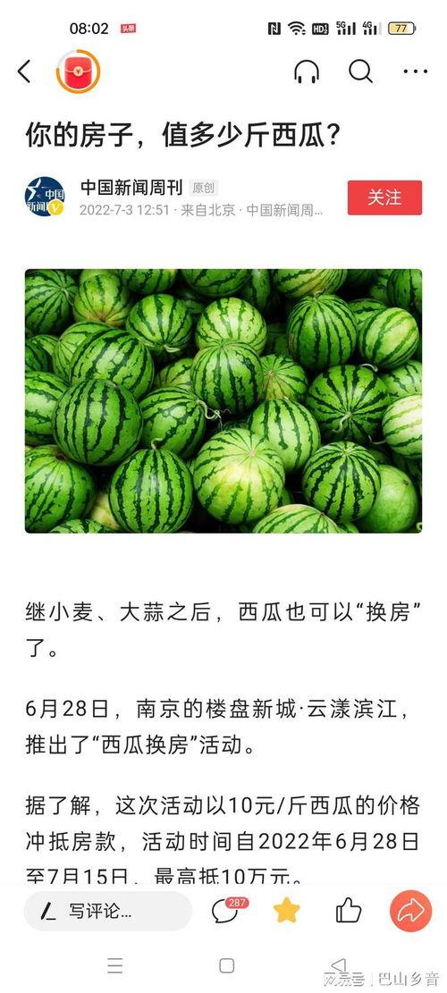 上哪儿能免费吃瓜,上哪儿能畅享夏日清凉  第3张