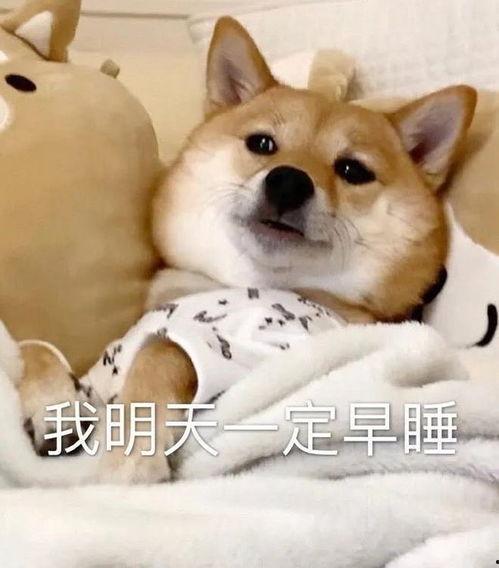 吃瓜八卦大爆料视频大全,吃瓜八卦大爆料视频全集  第2张