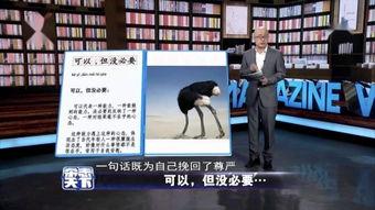 《借口》在线观看,揭开人性面具,探寻真实自我 第2张 《借口》在线观看,揭开人性面具,探寻真实自我 第2张