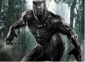 黑豹皮肤爆料视频网页,全新视觉盛宴,带你领略神秘非洲风情 第2张 黑豹皮肤爆料视频网页,全新视觉盛宴,带你领略神秘非洲风情 第2张