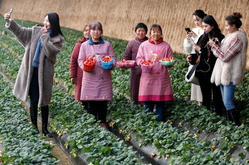 云南人爆料秋天妈妈视频,云南妈妈秋日温情视频走红网络 第2张 云南人爆料秋天妈妈视频,云南妈妈秋日温情视频走红网络 第2张