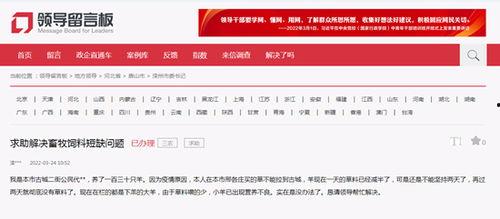 衡水新闻头条爆料,揭秘某重大事件背后真相！