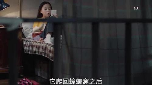 沈阳孩子爆料视频大全,揭秘校园生活点滴 第2张 沈阳孩子爆料视频大全,揭秘校园生活点滴 第2张