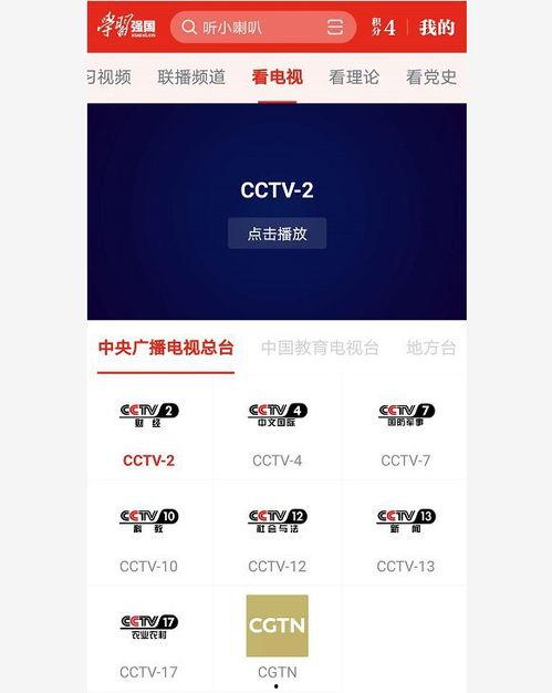 中央一直播在线观看,实时观看，尽享精彩瞬间