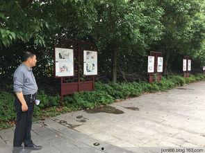 汾湖论坛新闻爆料金家坝,金家坝最新动态揭秘  第2张