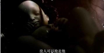 夺婴在线观看,在线揭秘生死较量