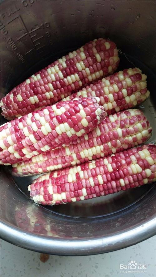 娱乐吃瓜酱玉米视频  第3张