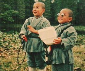 郝邵文最新爆料新闻,揭秘娱乐圈不为人知的幕后真相  第2张