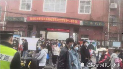 邯郸邯山区新瓜最新爆料,揭秘神秘瓜果背后的故事”