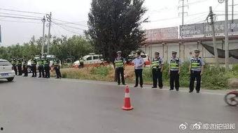 邯郸邯山区新瓜最新爆料,揭秘神秘瓜果背后的故事”  第3张