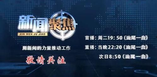 汕尾爆料新闻事件视频,真相揭露,社会关注 第3张 汕尾爆料新闻事件视频,真相揭露,社会关注 第3张