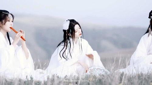 最新爆料古风歌曲有哪些,盘点最新爆料热门古风歌曲