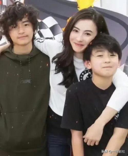 娱乐圈爆料柏芝