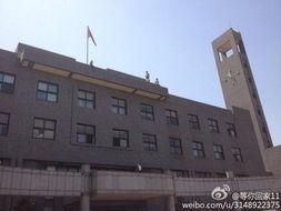 中央美院爆料事件最新