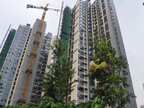 深圳福永最新爆料,揭秘区域发展新动态与未来规划